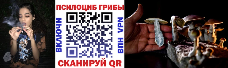 продажа наркотиков  Урень  Галлюциногенные грибы MAGIC MUSHROOMS 